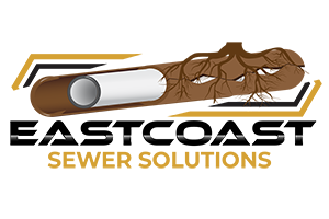 https://cowsultants.org/wp-content/uploads/2023/04/Eastcoastsewersolutions-logo.png