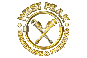 https://cowsultants.org/wp-content/uploads/2023/04/Westpeak-logo.png